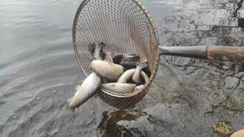 3680318-IMG_20250409_172836.jpg