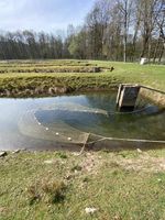3680309-IMG_9410.jpg