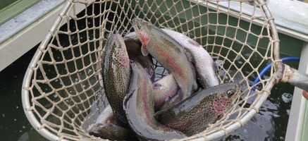 3680315-IMG_20250415_104407.jpg