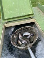 3680305-IMG_9425.jpg