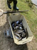 3680323-IMG_9415.jpg