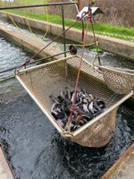 3680306-IMG_9382.jpg