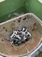 3680300-IMG_9374.jpg